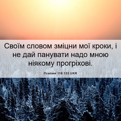 Picture 06 - Псалми 119:133 UKR - Своїм словом зміцни мої - Bible Verse Picture