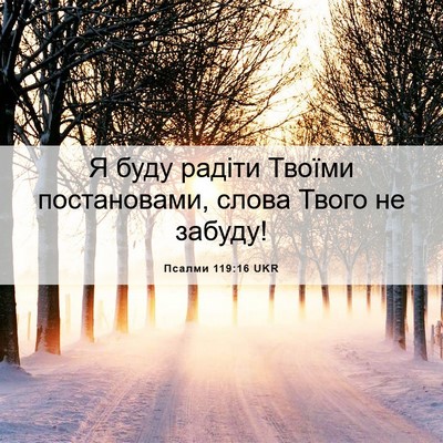 Picture 06 - Псалми 119:16 UKR - Я буду радіти Твоїми - Bible Verse Picture