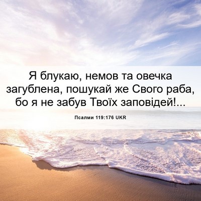 Picture 06 - Псалми 119:176 UKR - Я блукаю, немов та овечка - Bible Verse Picture