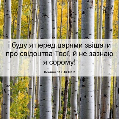 Picture 06 - Псалми 119:46 UKR - і буду я перед царями - Bible Verse Picture