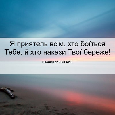 Picture 06 - Псалми 119:63 UKR - Я приятель всім, хто - Bible Verse Picture