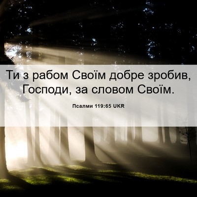 Picture 06 - Псалми 119:65 UKR - Ти з рабом Своїм добре - Bible Verse Picture