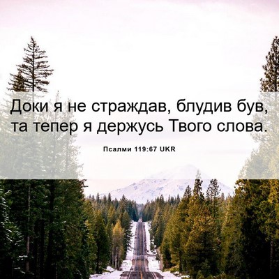Picture 06 - Псалми 119:67 UKR - Доки я не страждав, блудив - Bible Verse Picture