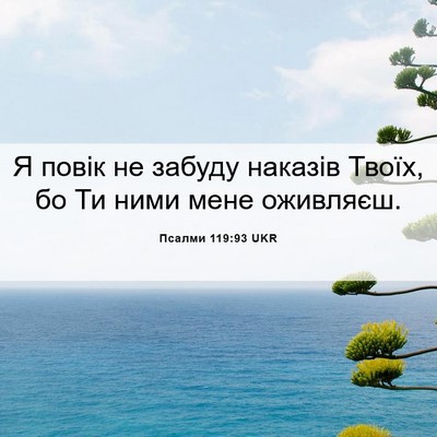 Picture 06 - Псалми 119:93 UKR - Я повік не забуду наказів - Bible Verse Picture