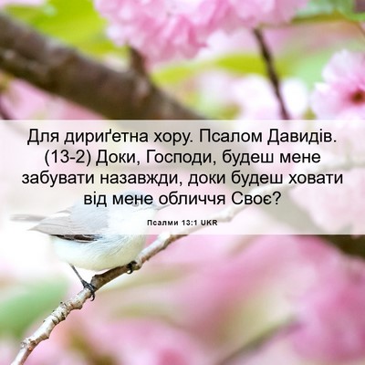 Picture 06 - Псалми 13:1 UKR - Для дириґетна хору. Псалом - Bible Verse Picture