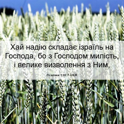 Picture 06 - Псалми 130:7 UKR - Хай надію складає ізраїль - Bible Verse Picture