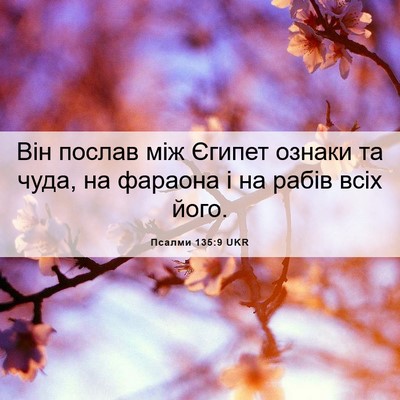 Picture 06 - Псалми 135:9 UKR - Він послав між Єгипет - Bible Verse Picture