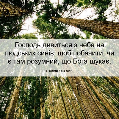 Picture 06 - Псалми 14:2 UKR - Господь дивиться з неба на - Bible Verse Picture