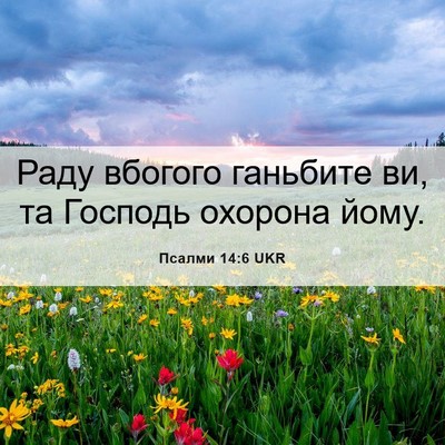 Picture 06 - Псалми 14:6 UKR - Раду вбогого ганьбите ви, - Bible Verse Picture