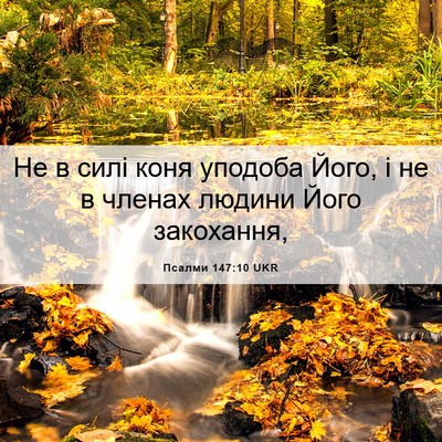 Picture 06 - Псалми 147:10 UKR - Не в силі коня уподоба - Bible Verse Picture