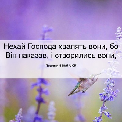 Picture 06 - Псалми 148:5 UKR - Нехай Господа хвалять - Bible Verse Picture