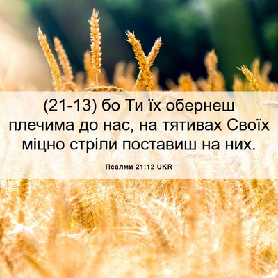 Picture 06 - Псалми 21:12 UKR - (21-13) бо Ти їх обернеш - Bible Verse Picture