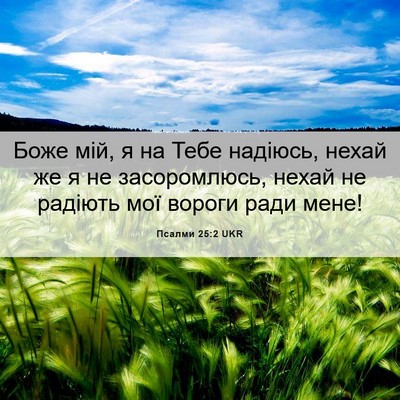 Picture 06 - Псалми 25:2 UKR - Боже мій, я на Тебе надіюсь, - Bible Verse Picture