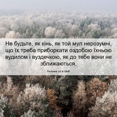 Picture 06 - Псалми 32:9 UKR - Не будьте, як кінь, як той - Bible Verse Picture