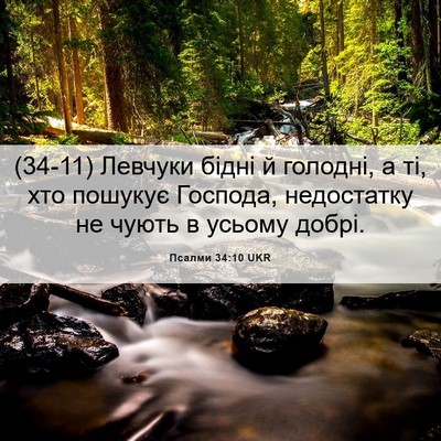 Picture 06 - Псалми 34:10 UKR - (34-11) Левчуки бідні й - Bible Verse Picture
