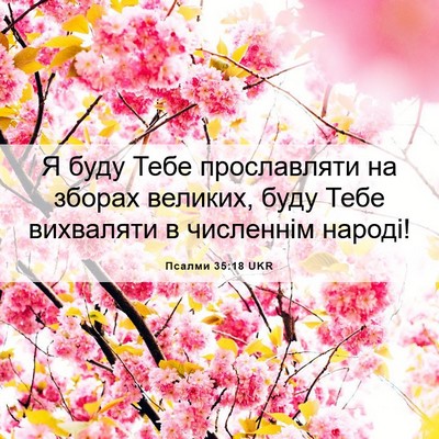 Picture 06 - Псалми 35:18 UKR - Я буду Тебе прославляти на - Bible Verse Picture