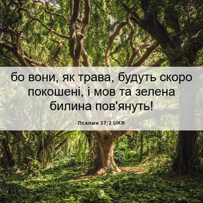 Picture 06 - Псалми 37:2 UKR - бо вони, як трава, будуть - Bible Verse Picture