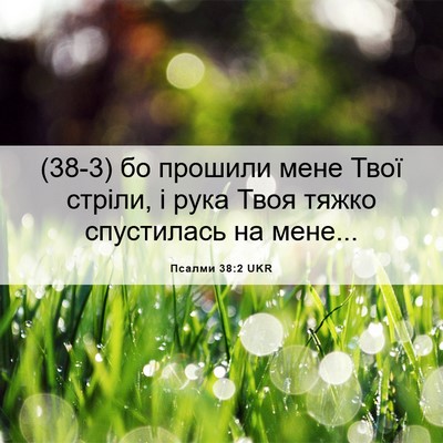 Picture 06 - Псалми 38:2 UKR - (38-3) бо прошили мене Твої - Bible Verse Picture