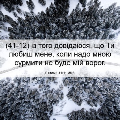 Picture 06 - Псалми 41:11 UKR - (41-12) із того довідаюся, що - Bible Verse Picture