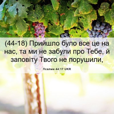 Picture 06 - Псалми 44:17 UKR - (44-18) Прийшло було все це на - Bible Verse Picture