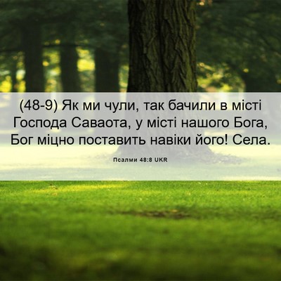 Picture 06 - Псалми 48:8 UKR - (48-9) Як ми чули, так бачили в - Bible Verse Picture