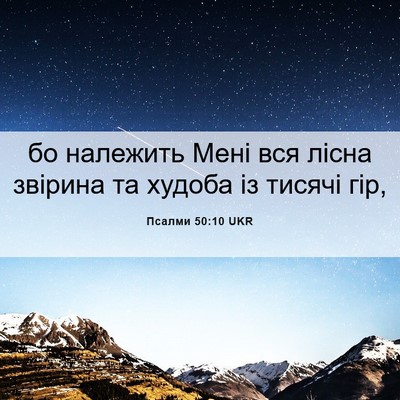 Picture 06 - Псалми 50:10 UKR - бо належить Мені вся лісна - Bible Verse Picture