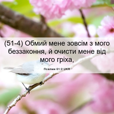 Picture 06 - Псалми 51:2 UKR - (51-4) Обмий мене зовсім з - Bible Verse Picture