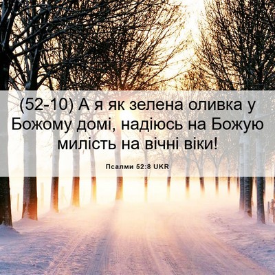 Picture 06 - Псалми 52:8 UKR - (52-10) А я як зелена оливка у - Bible Verse Picture