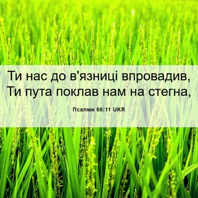 Picture 06 - Псалми 66:11 UKR - Ти нас до в'язниці - Bible Verse Picture