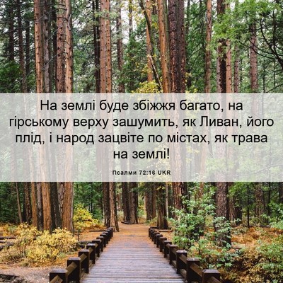 Picture 06 - Псалми 72:16 UKR - На землі буде збіжжя - Bible Verse Picture