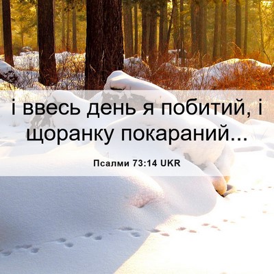 Picture 06 - Псалми 73:14 UKR - і ввесь день я побитий, і - Bible Verse Picture