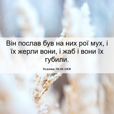 Picture 06 - Псалми 78:45 UKR - Він послав був на них рої - Bible Verse Picture