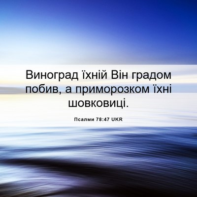 Picture 06 - Псалми 78:47 UKR - Виноград їхній Він градом - Bible Verse Picture