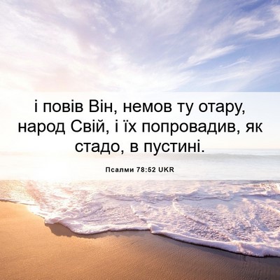 Picture 06 - Псалми 78:52 UKR - і повів Він, немов ту отару, - Bible Verse Picture