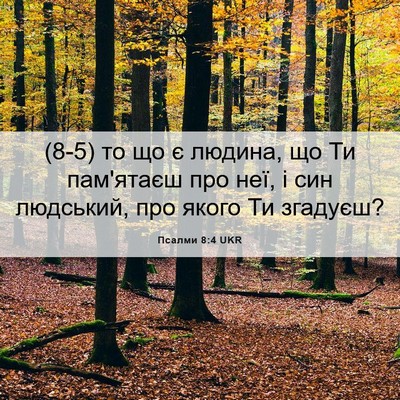 Picture 06 - Псалми 8:4 UKR - (8-5) то що є людина, що Ти - Bible Verse Picture