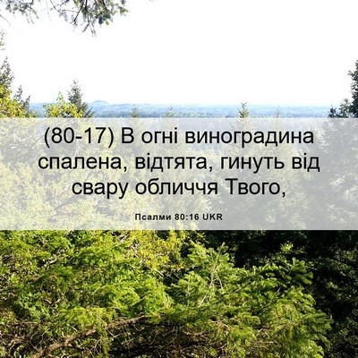 Picture 06 - Псалми 80:16 UKR - (80-17) В огні виноградина - Bible Verse Picture
