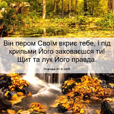 Picture 06 - Псалми 91:4 UKR - Він пером Своїм вкриє тебе, - Bible Verse Picture