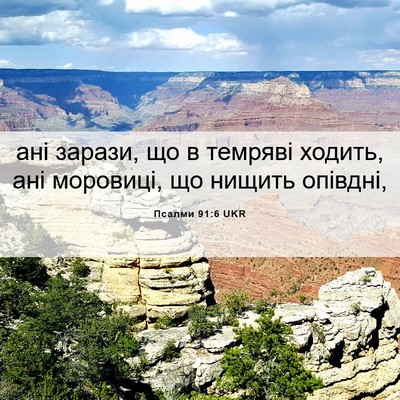 Picture 06 - Псалми 91:6 UKR - ані зарази, що в темряві - Bible Verse Picture