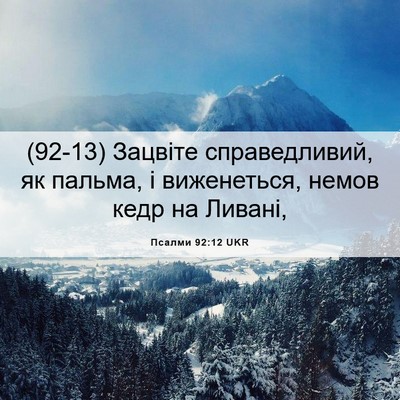 Picture 06 - Псалми 92:12 UKR - (92-13) Зацвіте справедливий, - Bible Verse Picture
