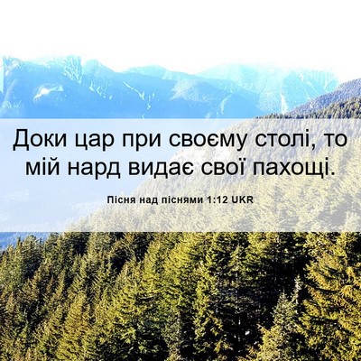 Picture 06 - Пісня над піснями 1:12 UKR - Доки цар при своєму столі, - Bible Verse Picture