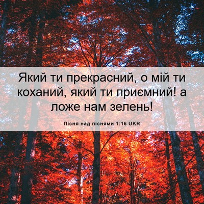 Picture 06 - Пісня над піснями 1:16 UKR - Який ти прекрасний, о мій - Bible Verse Picture