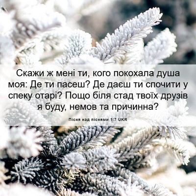 Picture 06 - Пісня над піснями 1:7 UKR - Скажи ж мені ти, кого - Bible Verse Picture