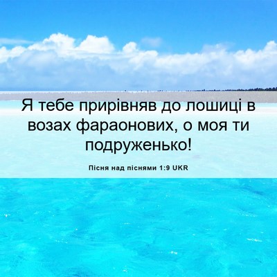 Picture 06 - Пісня над піснями 1:9 UKR - Я тебе прирівняв до лошиці - Bible Verse Picture
