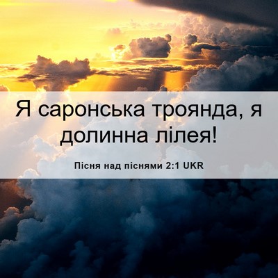 Picture 06 - Пісня над піснями 2:1 UKR - Я саронська троянда, я - Bible Verse Picture