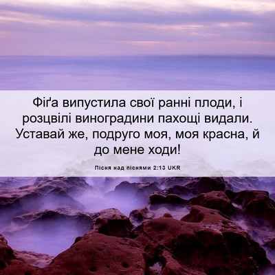 Picture 06 - Пісня над піснями 2:13 UKR - Фіґа випустила свої ранні - Bible Verse Picture
