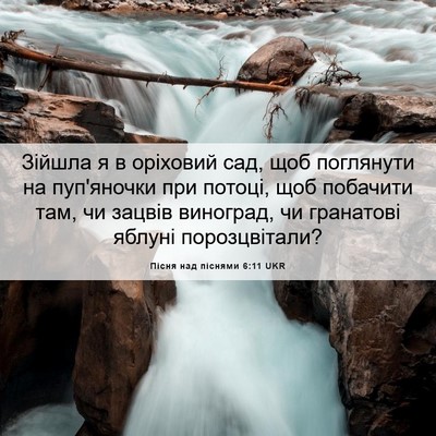 Picture 06 - Пісня над піснями 6:11 UKR - Зійшла я в оріховий сад, - Bible Verse Picture