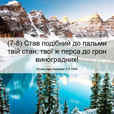 Picture 06 - Пісня над піснями 7:7 UKR - (7-8) Став подібний до пальми - Bible Verse Picture
