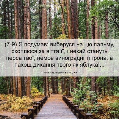 Picture 06 - Пісня над піснями 7:8 UKR - (7-9) Я подумав: виберуся на - Bible Verse Picture