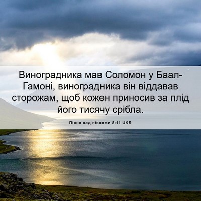 Picture 06 - Пісня над піснями 8:11 UKR - Виноградника мав Соломон у - Bible Verse Picture