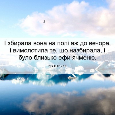 Picture 06 - Рут 2:17 UKR - І збирала вона на полі аж - Bible Verse Picture